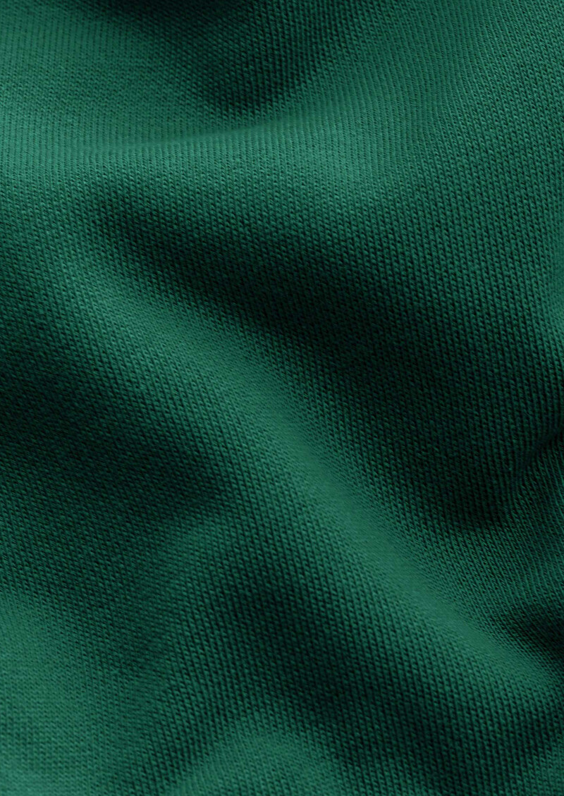 Ziplay - Forest Shade