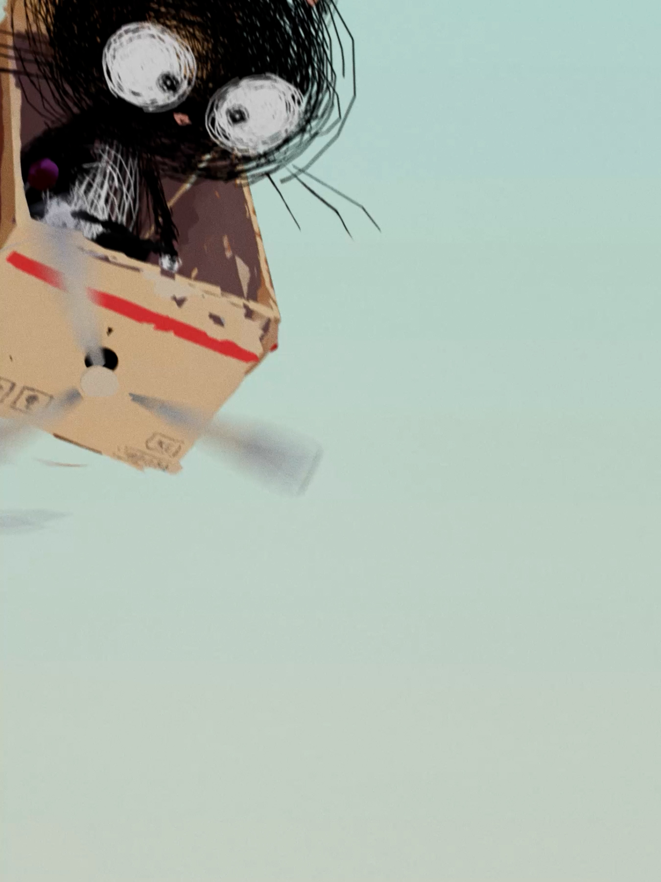 Aki the Cat